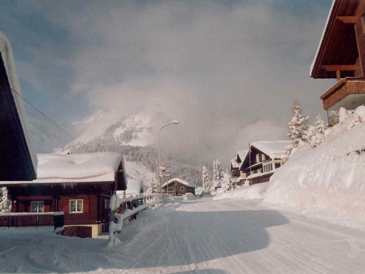 Apartment Chalet Spannortblick エンゲルベルク エクステリア 写真